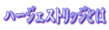 �n�[�W�F�X�g���b�W�Ƃ�