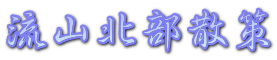 流山北部散策