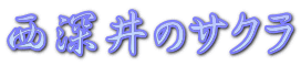 西深井のサクラ