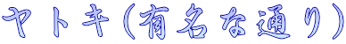 ヤトキ(有名な通り)